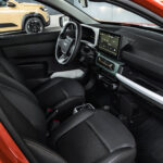 Dacia_Spring_Steenrood