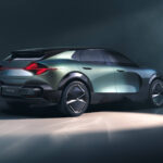 Renault Emblme 11